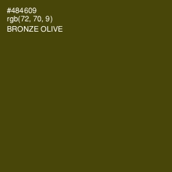 #484609 - Bronze Olive Color Image